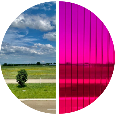 4 мм бордовый PetAlex Primavera 0,60 кг/кв.м 6х2,1 м сотовый поликарбонат Polidin