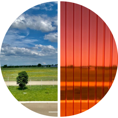 4 мм красный PetAlex Primavera 0,60 кг/кв.м 6х2,1 м сотовый поликарбонат Polidin